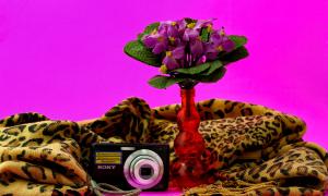 Still_Life-01