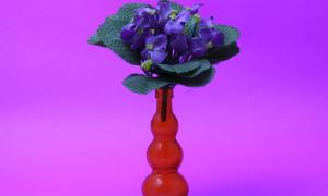 Vaso