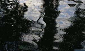 Reflexos
