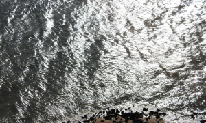 Ondas