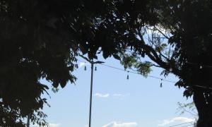 Arco